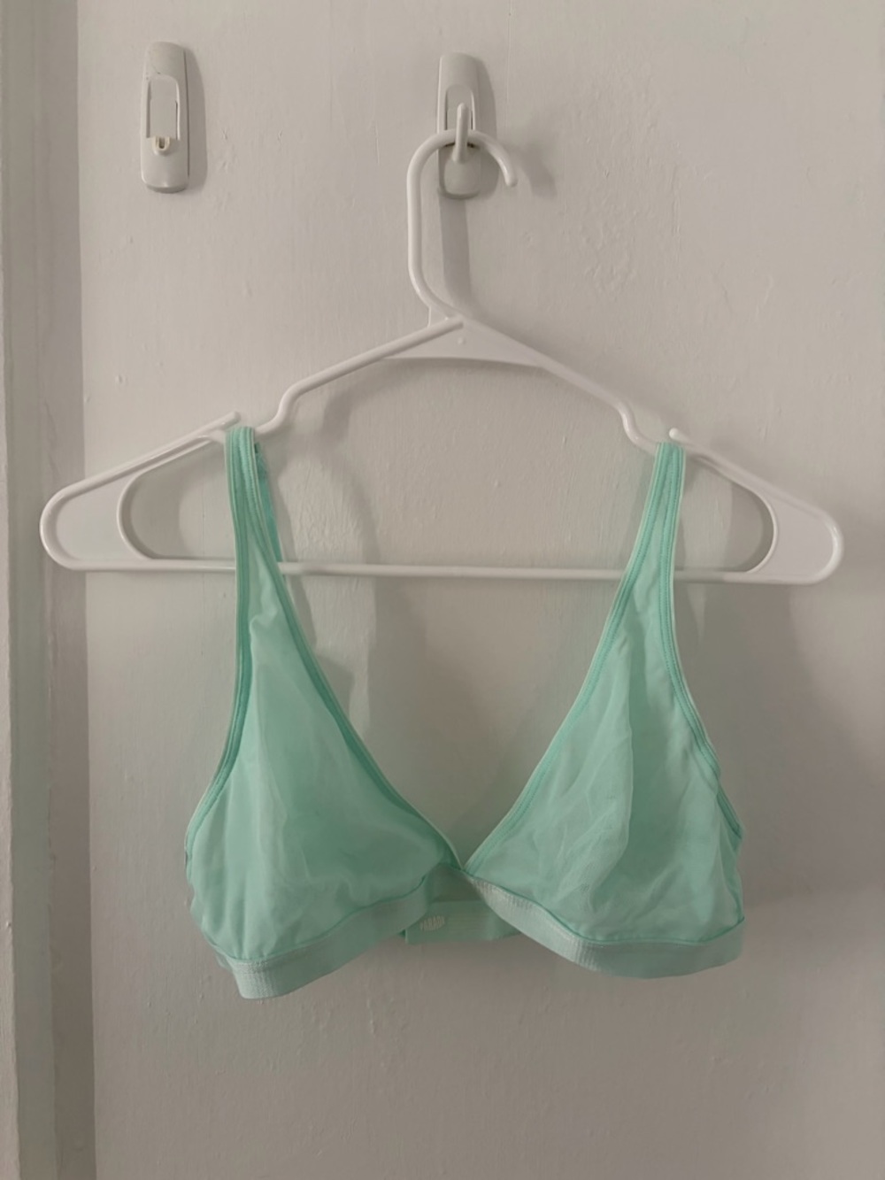NWOT Parade Sheer Mesh Triangle Bralette Size S